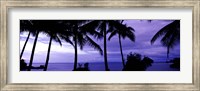 Palm trees on the coast, Colombia (purple horizontal) Fine Art Print