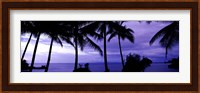 Palm trees on the coast, Colombia (purple horizontal) Fine Art Print