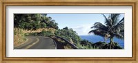 Highway along the coast, Hana Highway, Maui, Hawaii Fine Art Print