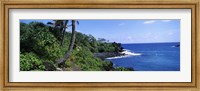 Palm trees with plants growing at a coast, Black Sand Beach, Hana Highway, Waianapanapa State Park, Maui, Hawaii, USA Fine Art Print