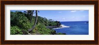 Palm trees with plants growing at a coast, Black Sand Beach, Hana Highway, Waianapanapa State Park, Maui, Hawaii, USA Fine Art Print