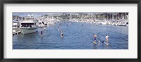 Paddleboarders and yachts, Dana Point, California Fine Art Print