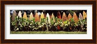 Surfboard fence in a garden, Maui, Hawaii, USA Fine Art Print