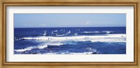 Tourists windsurfing, Hookipa Beach Park, Maui, Hawaii Fine Art Print