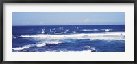 Tourists windsurfing, Hookipa Beach Park, Maui, Hawaii Fine Art Print