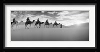 Tourists riding camels through the Sahara Desert landscape led by a Berber man, Morocco (black and white) Fine Art Print
