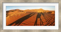 Shadows of camel riders in the desert at sunset, Sahara Desert, Morocco Fine Art Print