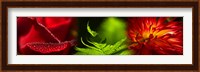 Leaves and red flowers Fine Art Print