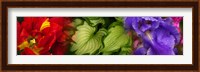 Tulip and Iris flowers Fine Art Print