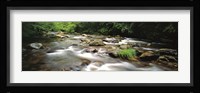 River flowing through a forest, Little Pigeon River, Great Smoky Mountains National Park, Tennessee, USA Fine Art Print