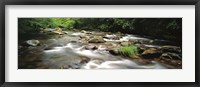 River flowing through a forest, Little Pigeon River, Great Smoky Mountains National Park, Tennessee, USA Fine Art Print