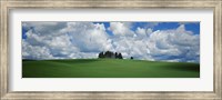 Trees on the top of a hill, Palouse, Whitman County, Washington State, USA Fine Art Print