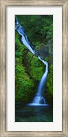 Waterfall in a forest, Sullivan Falls, Opal Creek Wilderness, Oregon, USA Fine Art Print