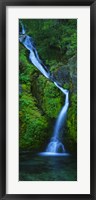 Waterfall in a forest, Sullivan Falls, Opal Creek Wilderness, Oregon, USA Fine Art Print