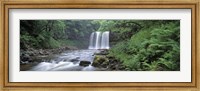 Waterfall in a forest, Sgwd Yr Eira (Waterfall of Snow), Afon Hepste, Brecon Beacons National Park, Wales Fine Art Print