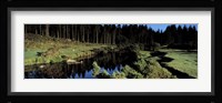 River flowing through a forest, East Dart River, Dartmoor, Devon, England Fine Art Print