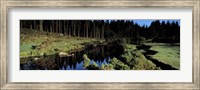 River flowing through a forest, East Dart River, Dartmoor, Devon, England Fine Art Print