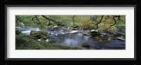 River flowing through a forest, West Dart River, Dartmeet, Devon, England Fine Art Print