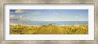 Grass on the beach, Horsey Beach, Norfolk, England Fine Art Print