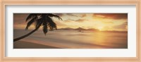 Silhouette of a palm tree on the beach at sunset, La Digue Island, Praslin Island, Seychelles Fine Art Print