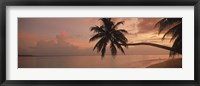 Silhouette of palm trees on the beach at sunrise, Fihalhohi Island, Maldives Fine Art Print