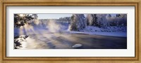 Snow covered laden trees, Dal River, Sweden Fine Art Print