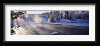 Snow covered laden trees, Dal River, Sweden Fine Art Print