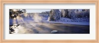 Snow covered laden trees, Dal River, Sweden Fine Art Print
