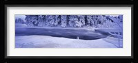River flowing through a snow covered forest, Dal River, Sweden Fine Art Print