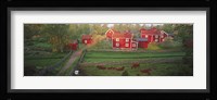 Traditional red farm houses and barns at village, Stensjoby, Smaland, Sweden Fine Art Print