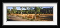 Hay bales in a field, Flens, Sweden Fine Art Print