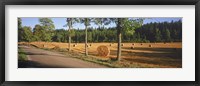 Hay bales in a field, Flens, Sweden Fine Art Print