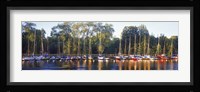 Sailboats moored at a dock, Langholmens Canal, Stockholm, Sweden Fine Art Print