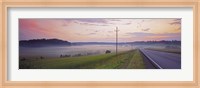 Country road and telephone lines splitting farmlands at dawn, Finland Fine Art Print