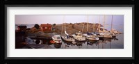 Sailboats on the coast, Stora Nassa, Stockholm Archipelago, Sweden Fine Art Print