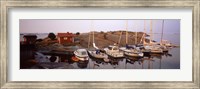 Sailboats on the coast, Stora Nassa, Stockholm Archipelago, Sweden Fine Art Print