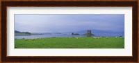 Castle on an island, Glencoe, Loch Linnh, Stalker Castle, Scotland Fine Art Print