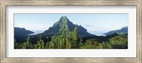 Mountains at a coast, Belvedere Point, Mont Mouaroa, Opunohu Bay, Moorea, Tahiti, French Polynesia Fine Art Print