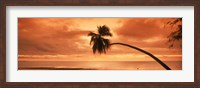 Silhouette of an old palm tree on the beach at sunset, Aitutaki, Cook Islands Fine Art Print