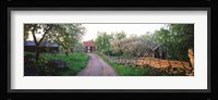 Dirt road leading to farmhouses, Stensjoby, Smaland, Sweden Fine Art Print