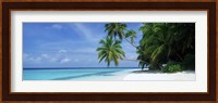Palm trees on the beach, Fihalhohi Island, Maldives Fine Art Print