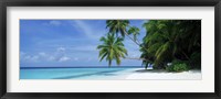 Palm trees on the beach, Fihalhohi Island, Maldives Fine Art Print