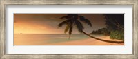 Silhouette of a palm tree on the beach at sunset, Anse Severe, La Digue Island, Seychelles Fine Art Print