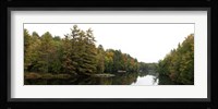 Reflection of trees in the Musquash River, Muskoka, Ontario, Canada Fine Art Print