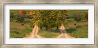 Two dirt roads passing through farms in autumn Fine Art Print