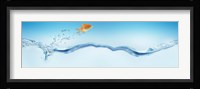 Goldfish jumping out of water Fine Art Print