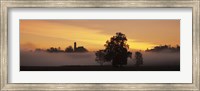 Early morning fog near Seeg, Ostallgau, Bavaria, Germany Fine Art Print