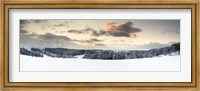 Trees on a snow covered hill, Black Forest, Baden-Wurttemberg, Germany Fine Art Print