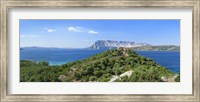 Trees on a hill, Capo Coda Cavallo, Baronia, Sardinia, Italy Fine Art Print