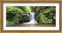 Water in a forest, Geroldsau Waterfall, Black Forest, Baden-Wurttemberg, Germany Fine Art Print